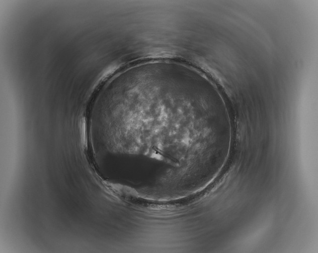 X0000112911171200908311231