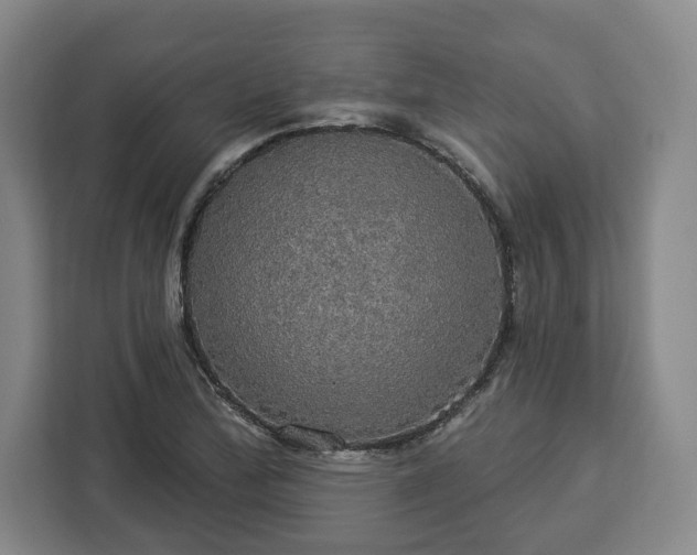 X0000112911172200908311231