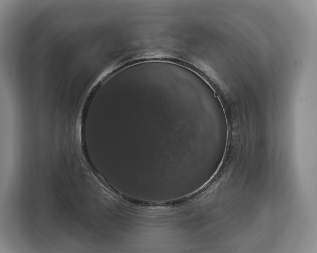 X0000112911173200908311231