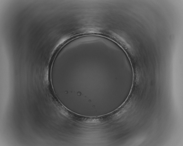 X0000112911174200908311231