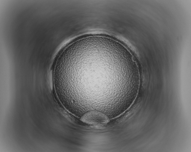 X0000112911175200908311231