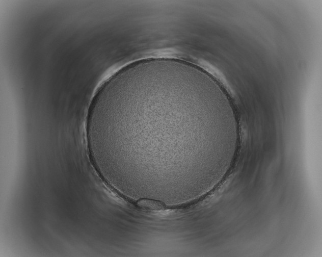 X0000112911176200908311231