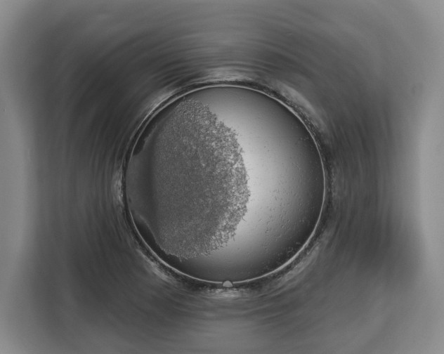 X0000112911177200908311231