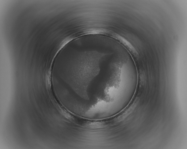 X0000112911178200908311231