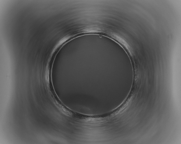 X0000112911179200908311231