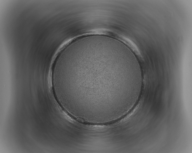 X0000112911180200908311231