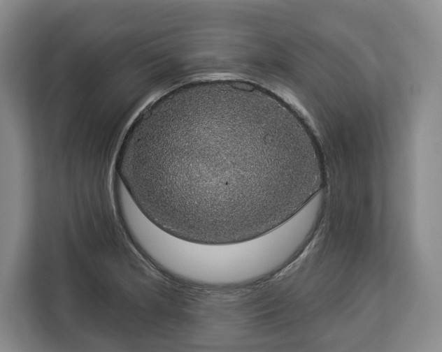 X0000112911181200908311231