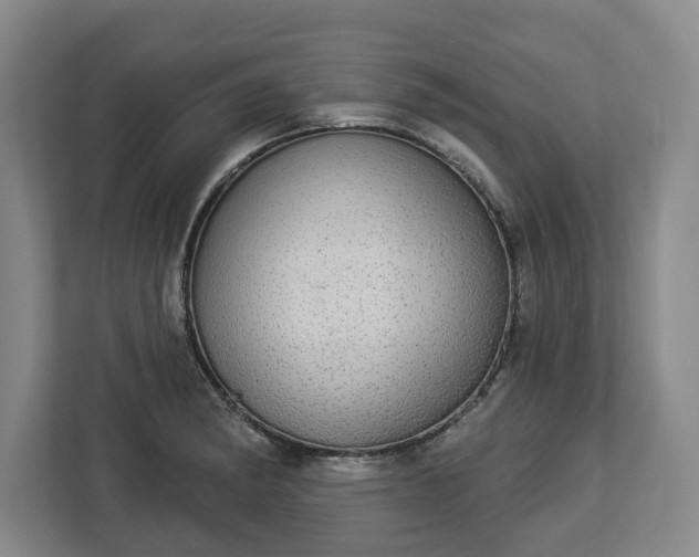 X0000112911182200908311231