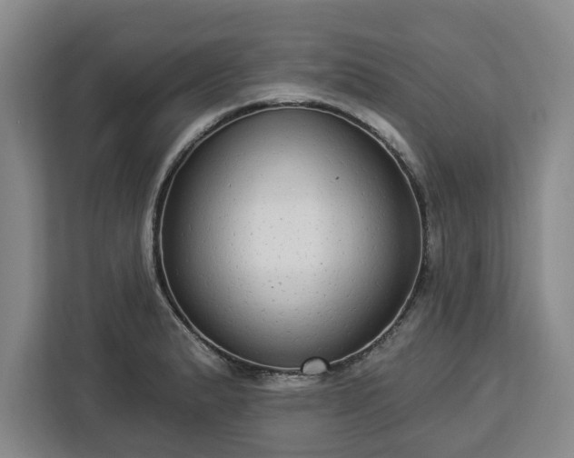 X0000112911183200908311231