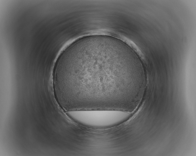 X0000112911184200908311231