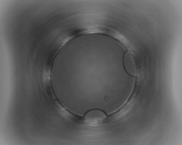 X0000112911185200908311231