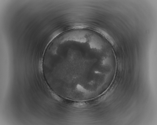 X0000112911186200908311231