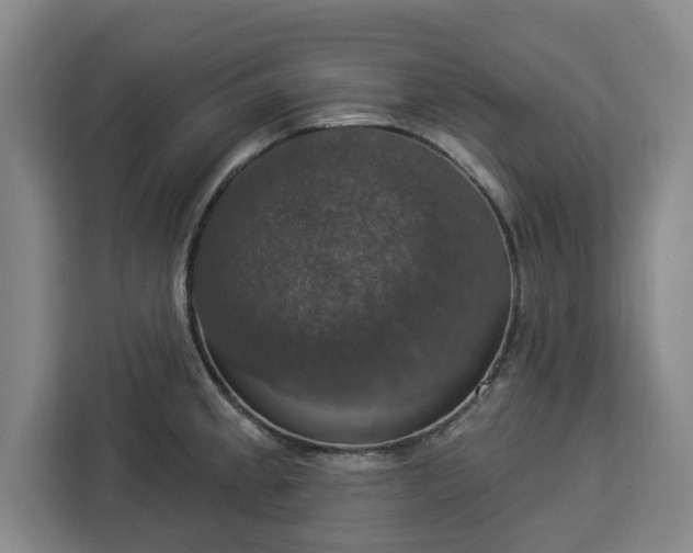 X0000112911189200908311231