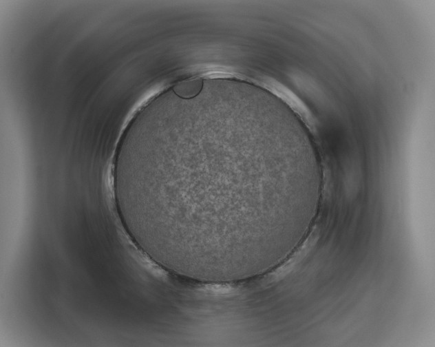 X0000112911190200908311231