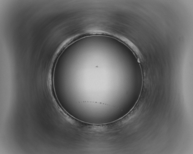 X0000112911191200908311231