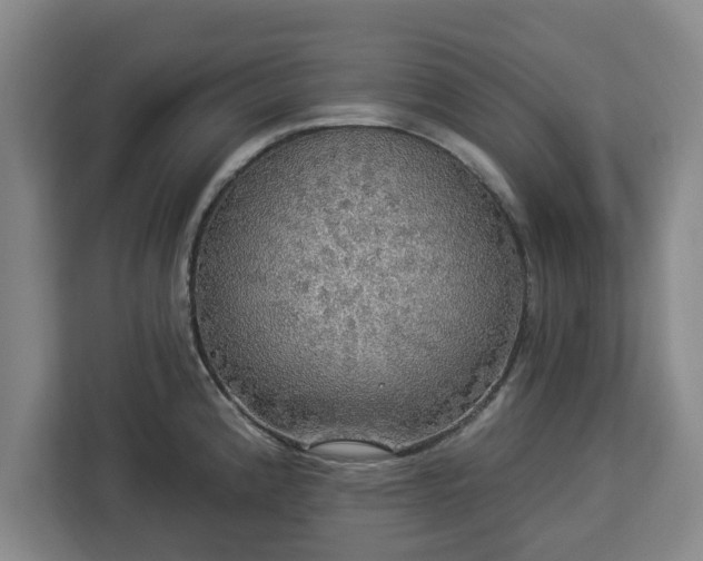 X0000112911192200908311231