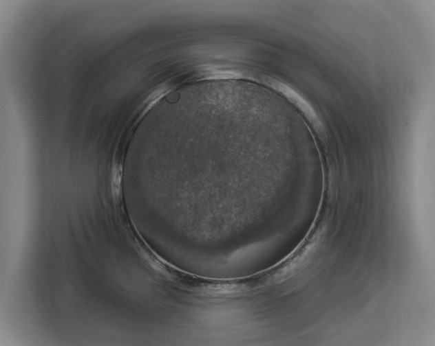 X0000112911193200908311231