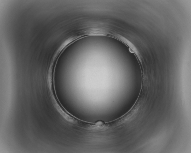 X0000112911195200908311231