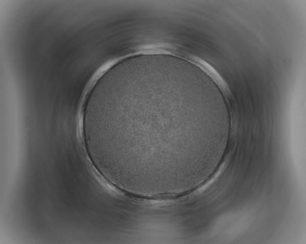 X0000112911196200908311231