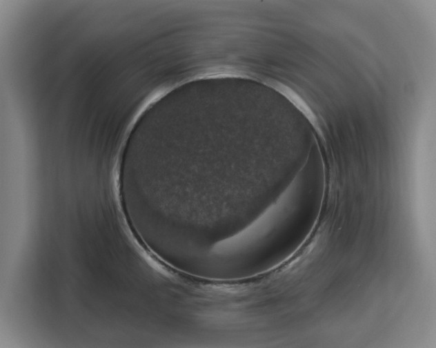 X0000112911197200908311231