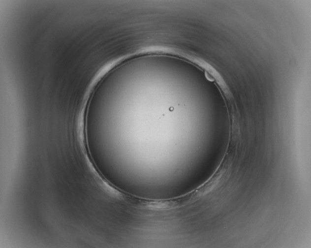 X0000112911199200908311231