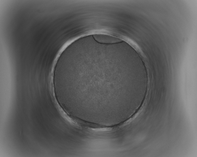 X0000112911200200908311231