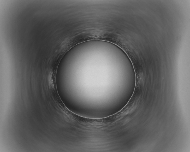 X0000112911202200908311230