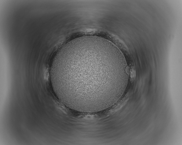 X0000112911204200908311230