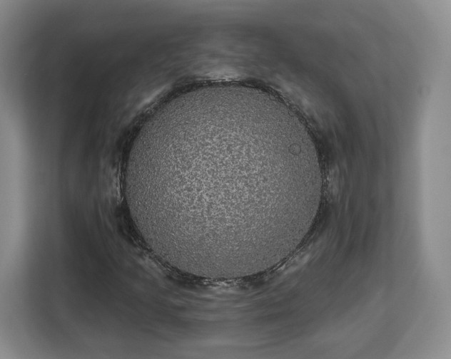 X0000112911205200908311230