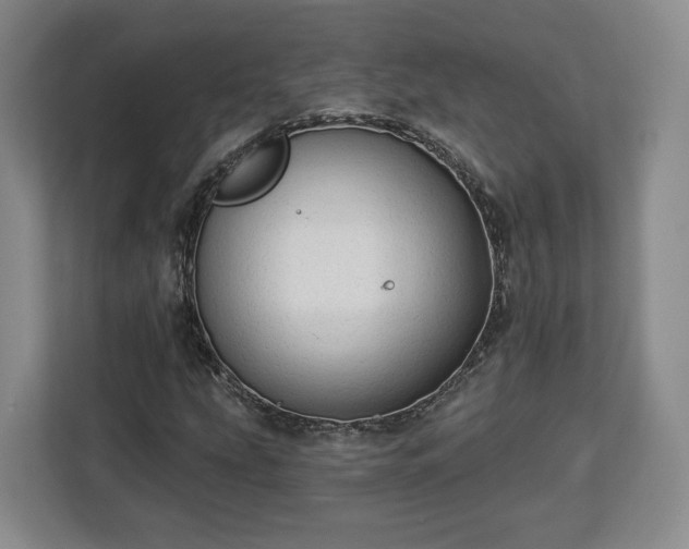 X0000112911207200908311230