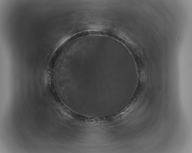 X0000112911208200908311230