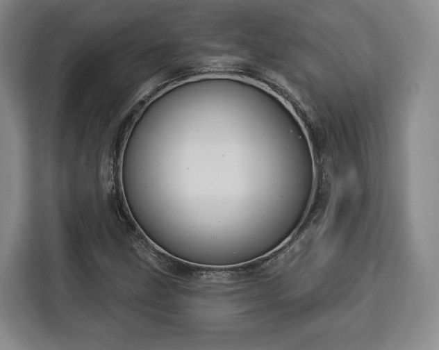 X0000112911211200908311230