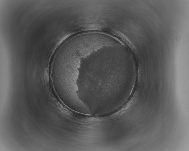 X0000112911212200908311230