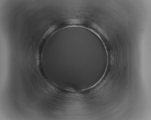 X0000112911213200908311230