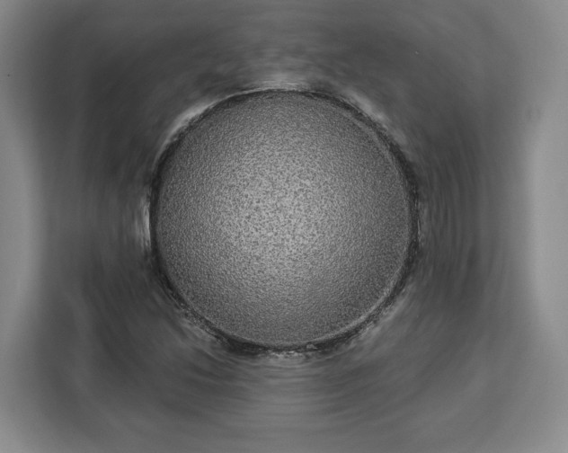 X0000112911214200908311230