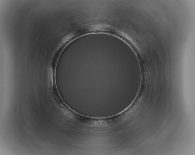 X0000112911219200908311230