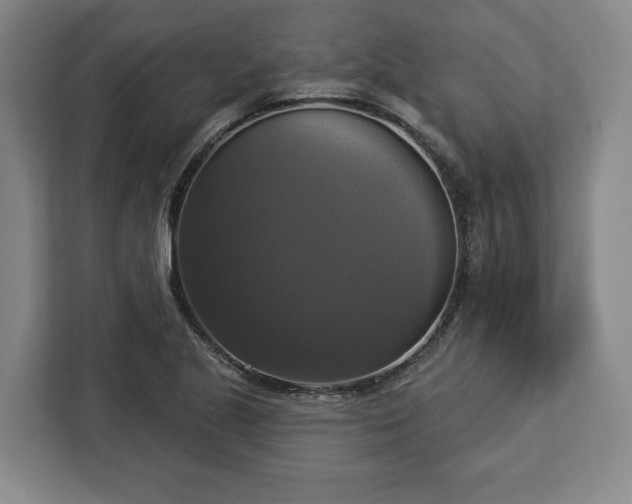 X0000112911221200908311230