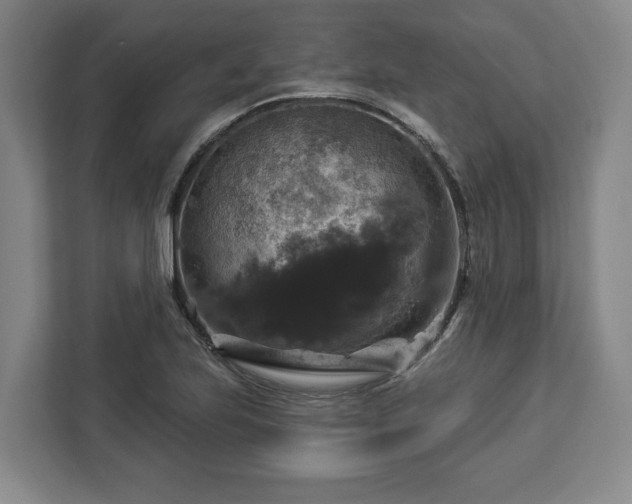 X0000112911223200908311230