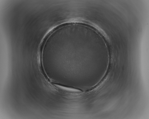 X0000112911224200908311230