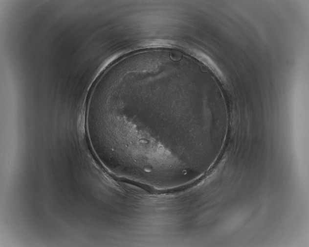 X0000112911228200908311230