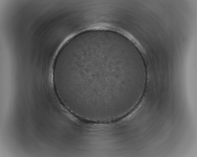 X0000112911232200908311230