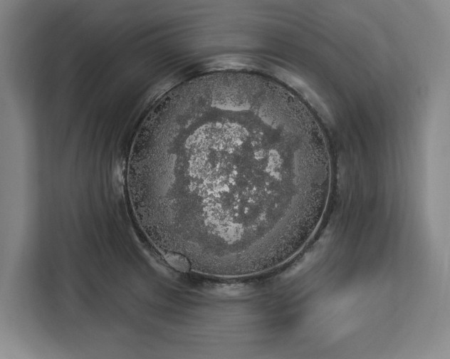 X0000112911233200908311230