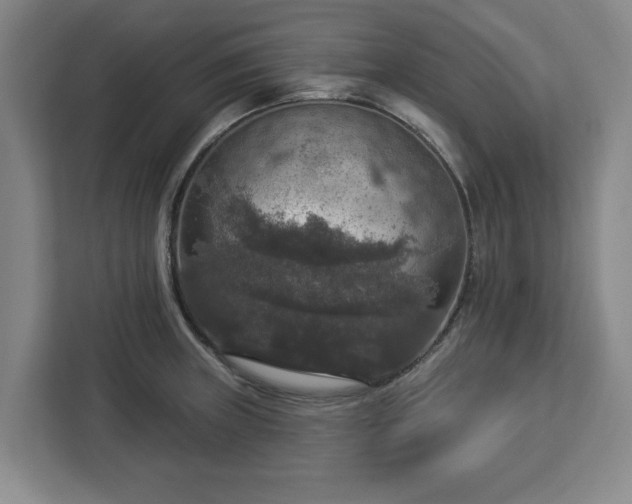 X0000112911235200908311231