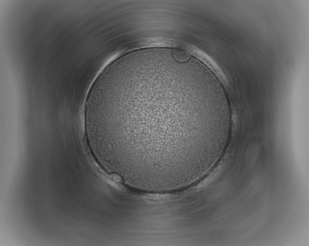 X0000112911236200908311231