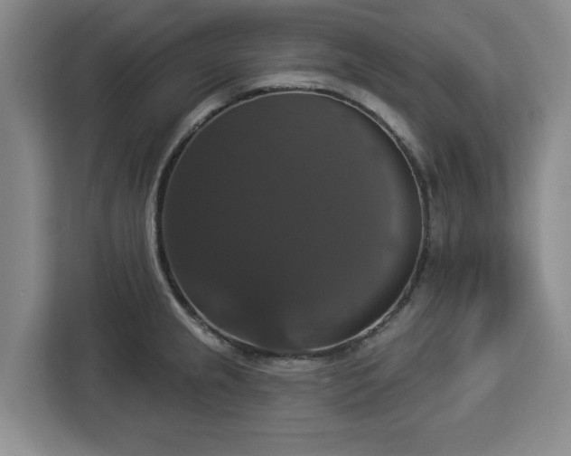 X0000112911237200908311231