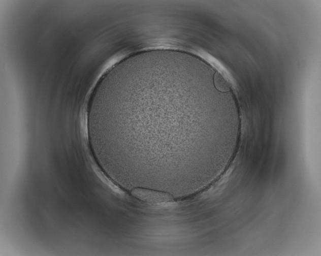 X0000112911238200908311231