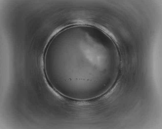 X0000112911239200908311231