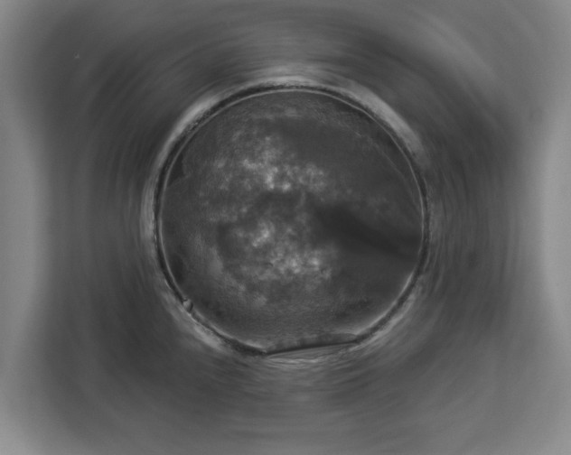 X0000112911240200908311231