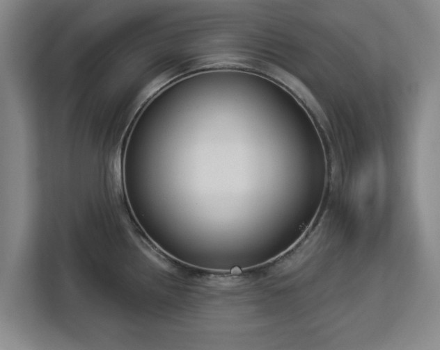 X0000112911242200908311231