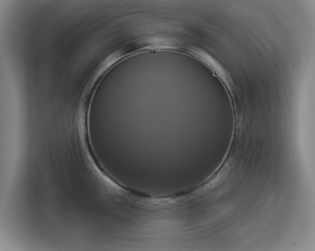 X0000112911243200908311231